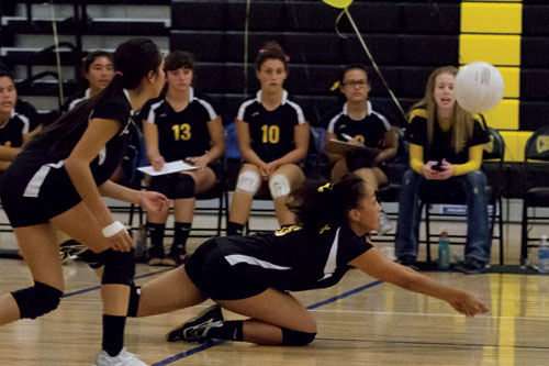 Momentum Swings in Chargers' Favor, Sweep Bruins in Straight Sets