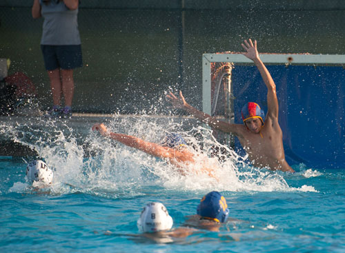 Wilcox Water Polo Bests Bruins