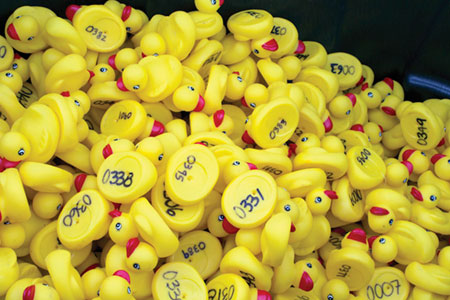 Ducks Race to Support Girl Scouts