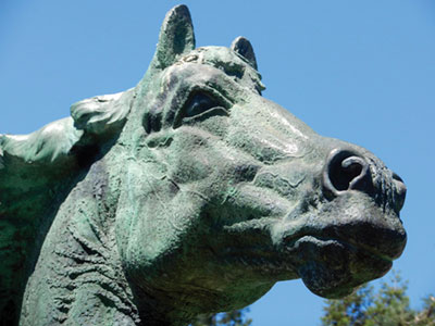Art In Our City: The Triton Museum's Morgan Horse Statue