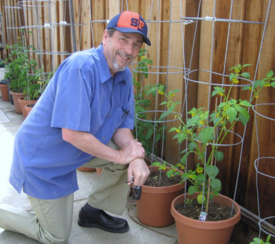 Midwestern Transplant Shares Home-grown Heirloom Tomato Seedlings with Community