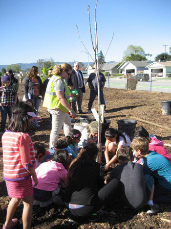 Sutter Tree Planting Inspires Students and Renews Campus