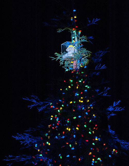 106th Annual Holiday Tree Lighting
