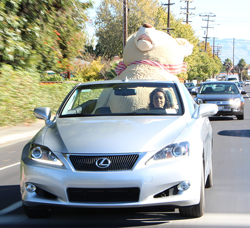 Giant Teddy Bear Delivers $5,000 Check to JW House in a Silver Lexus Convertible