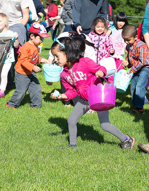 City-wide egg hunt delights youth