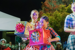 Cover-Tree-Lighting-001