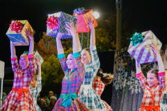 Cover-Tree-Lighting-003