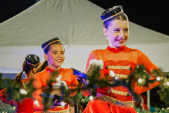 Cover-Tree-Lighting-006