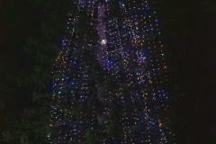 Inside-Santa-Clara-Holiday-Tree-Lighting-004