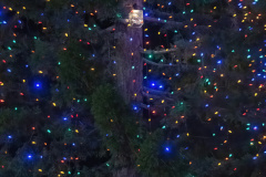Inside-Santa-Clara-Holiday-Tree-Lighting-005