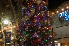 Inside-Sunnyvale-Holiday-Tree-Lighting-001