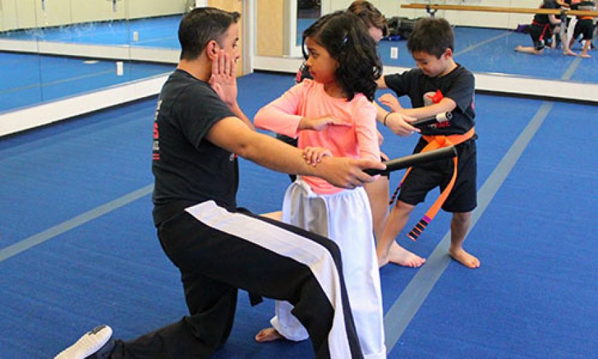 Gymnastics and Various Martial Arts Styles Come Together at Gymrate