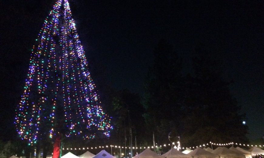 Santa Clarans Kick Off Holiday Season with Annual Tree Lighting