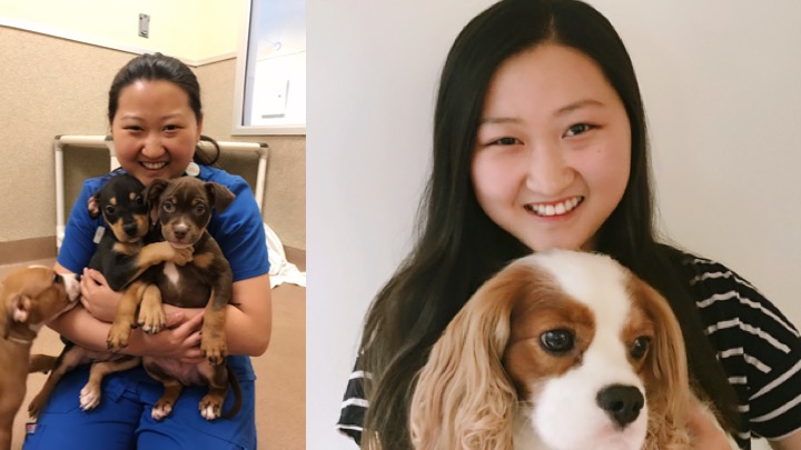 Julia Hyun has been volunteering at Humane Society Silicon Valley, and it inspired her to becoming a veterinarian at HSSV.
