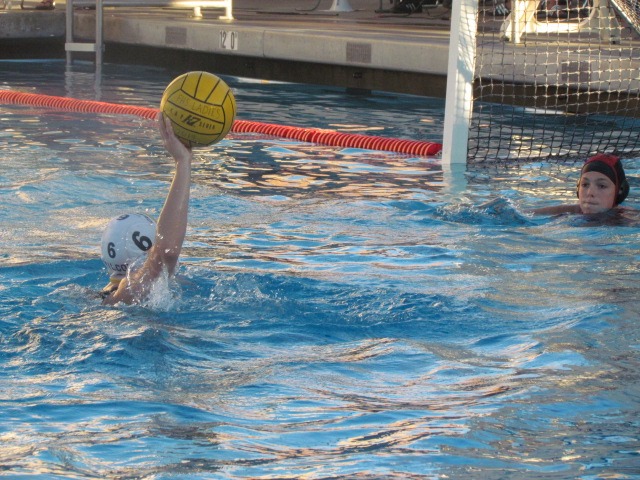 At the water polo game, Britt Vanlerberghe of Fremont and Kaitlyn Wang of Wilcox both played well for their respective teams.