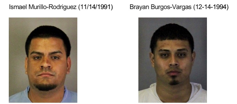 Ismael Murillo-Rodriguez and Brayan Burgos-Vargas have been arrested in connection to an auto burglary spree that included cars in Sunnyvale.