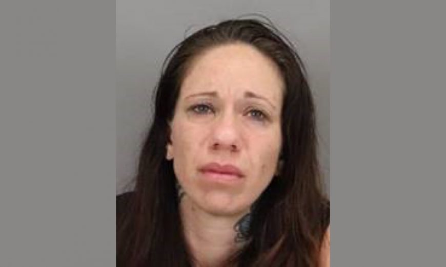A Santa Clara Woman, Kari Rios, is the suspect in connection to auto burglaries and other Property Crime. She's also a suspect for Identity Theft.