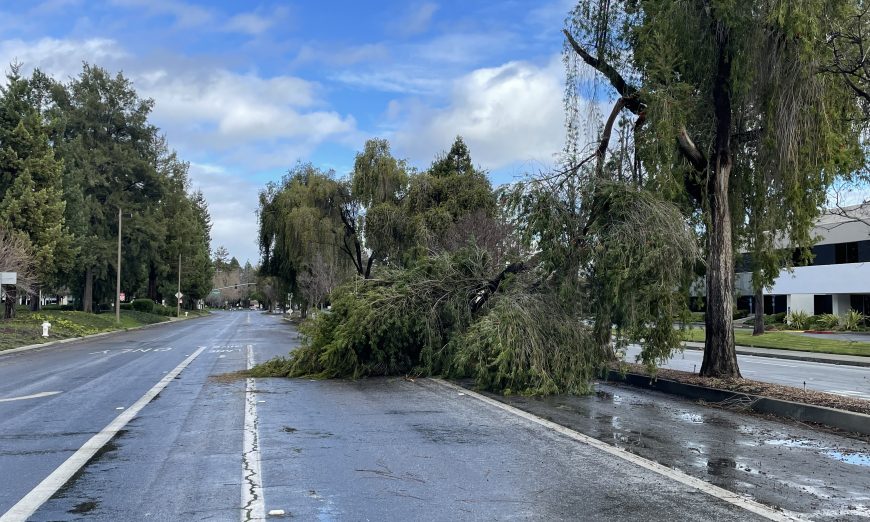 Silicon Valley Power has restored power to all Santa Clara customers who suffered outages during this latest round of storms and high winds.